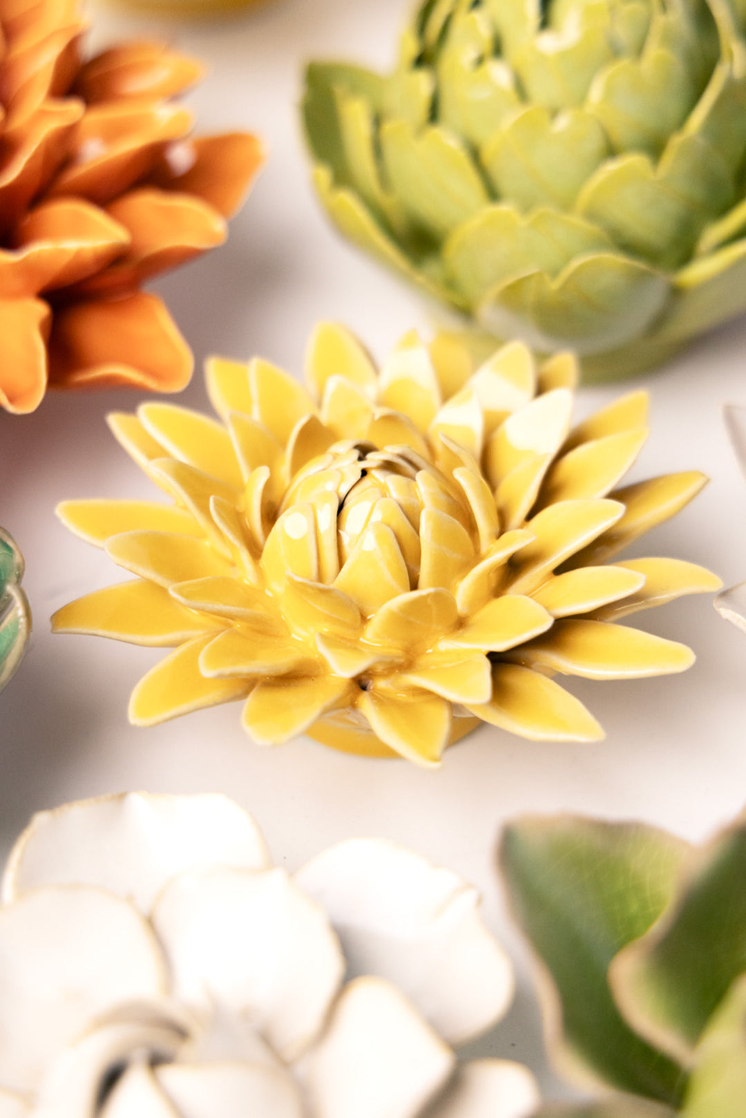 Burnt Yellow Strawflower - Chive UK