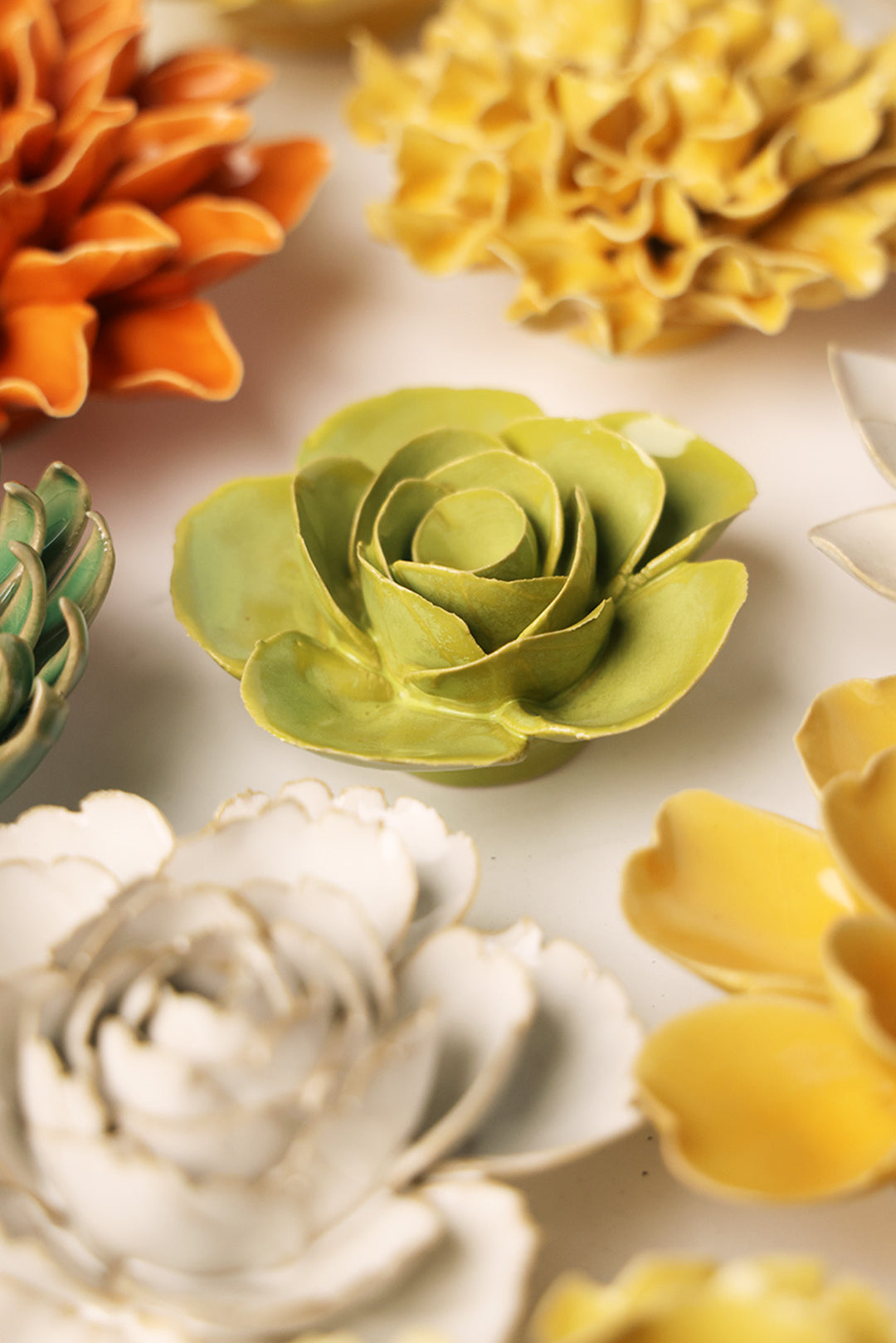 Chartreuse Elegance Ranunculus - Chive UK