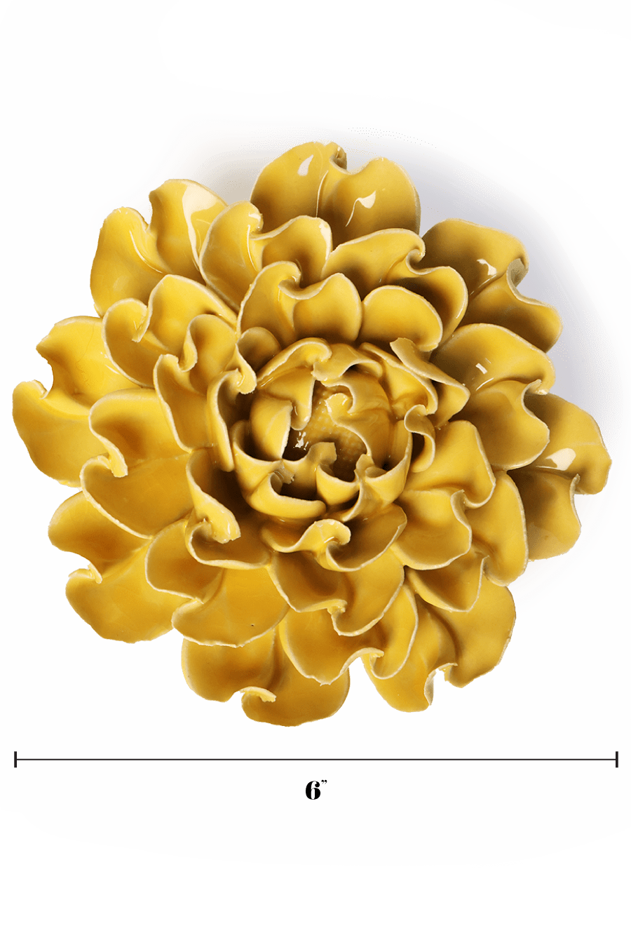 English Garden Buttercup Yellow Hawthorn - Chive UK