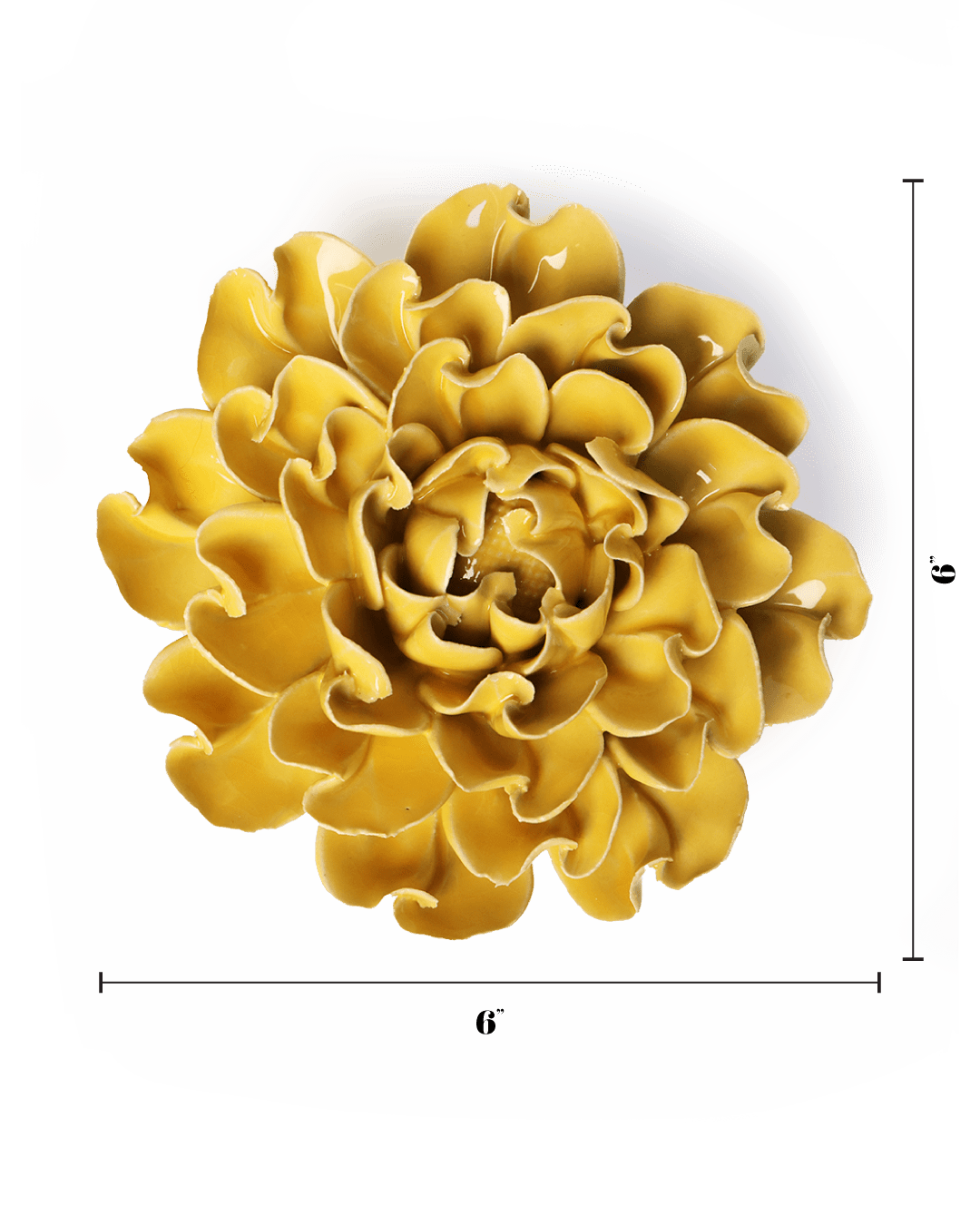 English Garden Buttercup Yellow Hawthorn - Chive UK