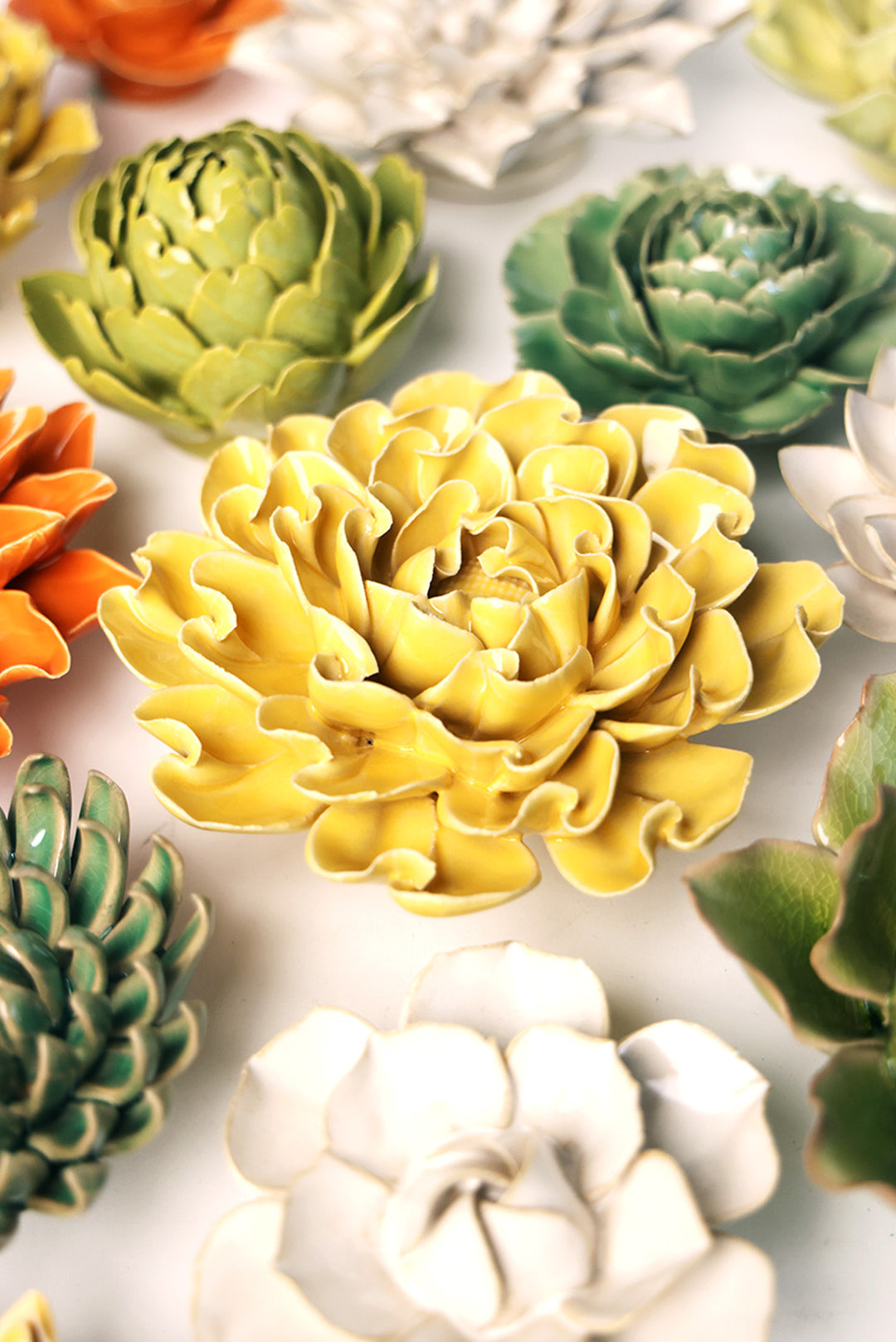 Buttercup Yellow Hawthorn - Chive UK