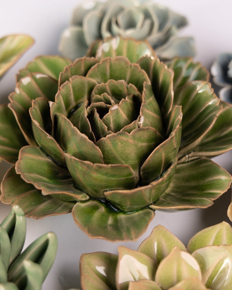 English Garden Curated Collection 1 - Chive UK