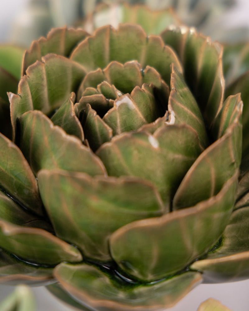 English Garden Curated Collection 1 - Chive UK