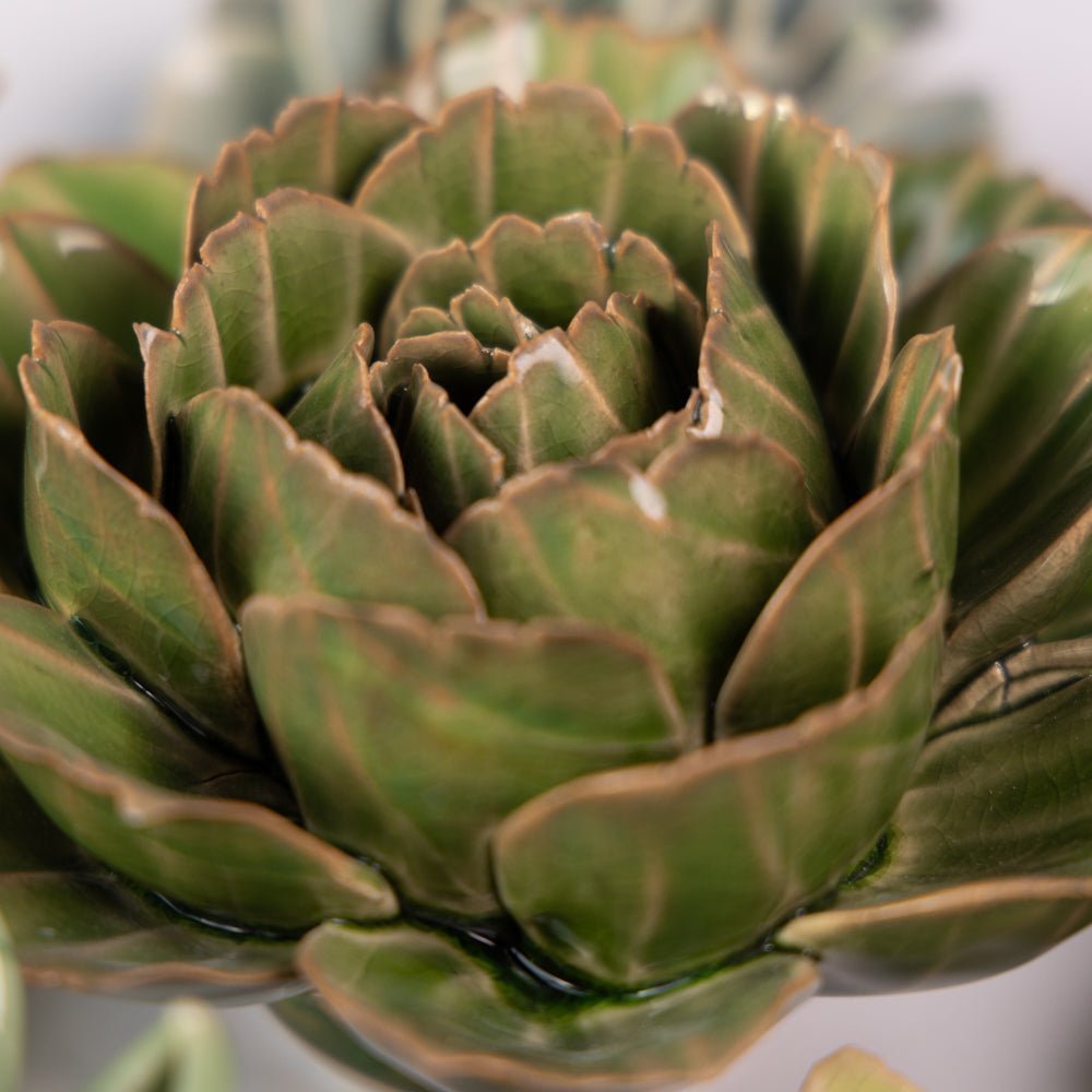 English Garden Curated Collection 1 - Chive UK