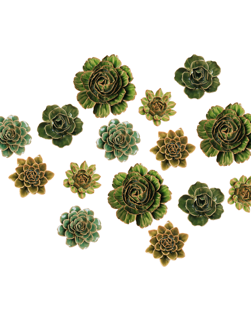 English Garden Curated Collection 2 - Chive UK