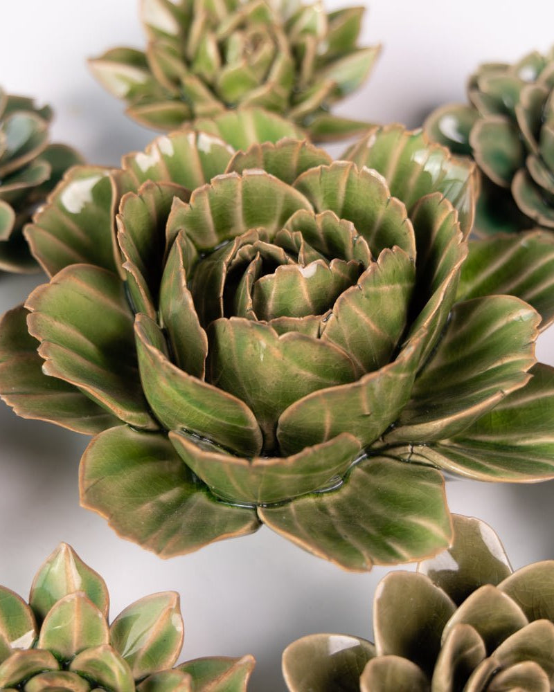 English Garden Curated Collection 2 - Chive UK