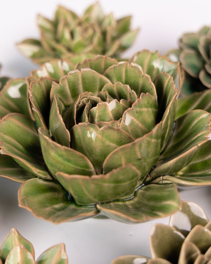 English Garden Curated Collection 2 - Chive UK