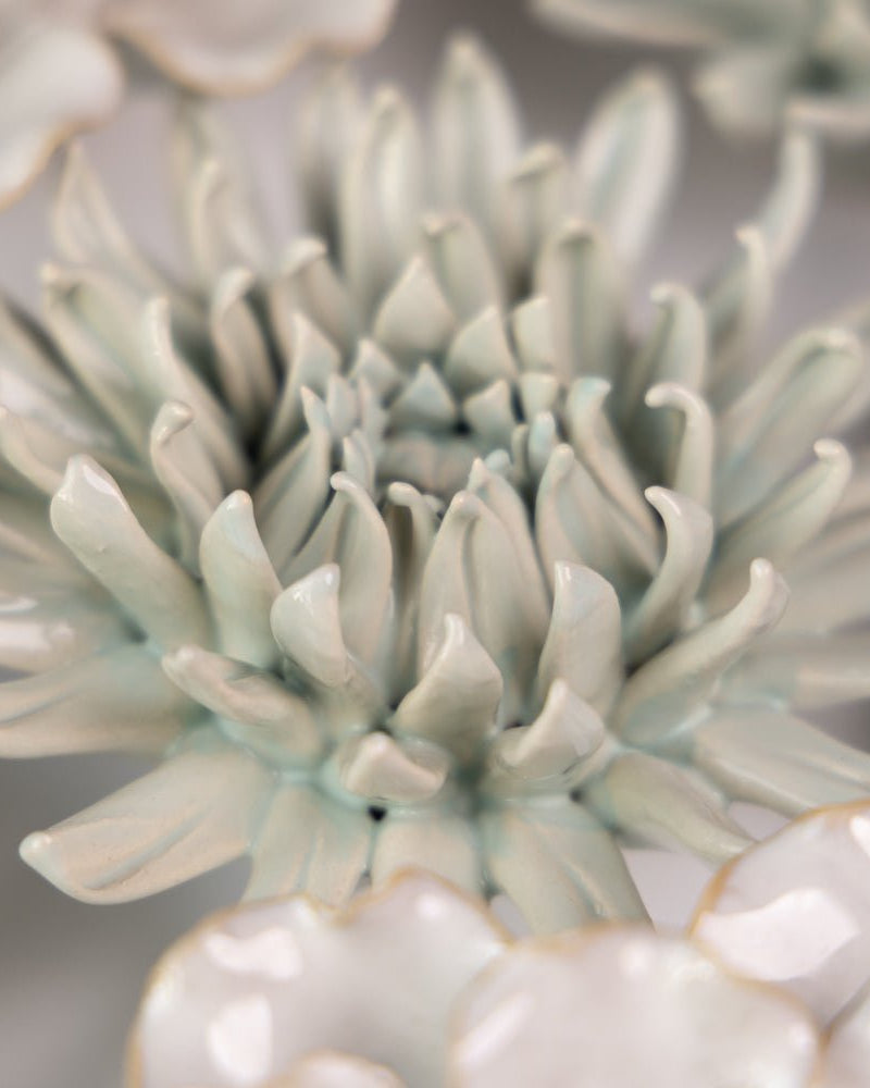 English Garden Curated Collection 4 - Chive UK