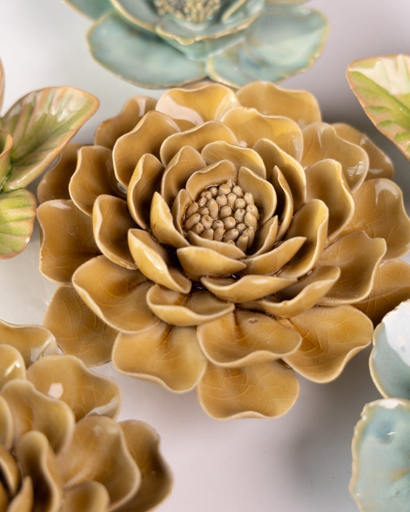 English Garden Curated Collection 6 - Chive UK