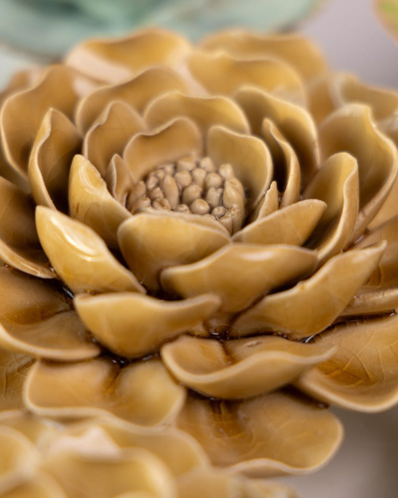 English Garden Curated Collection 6 - Chive UK