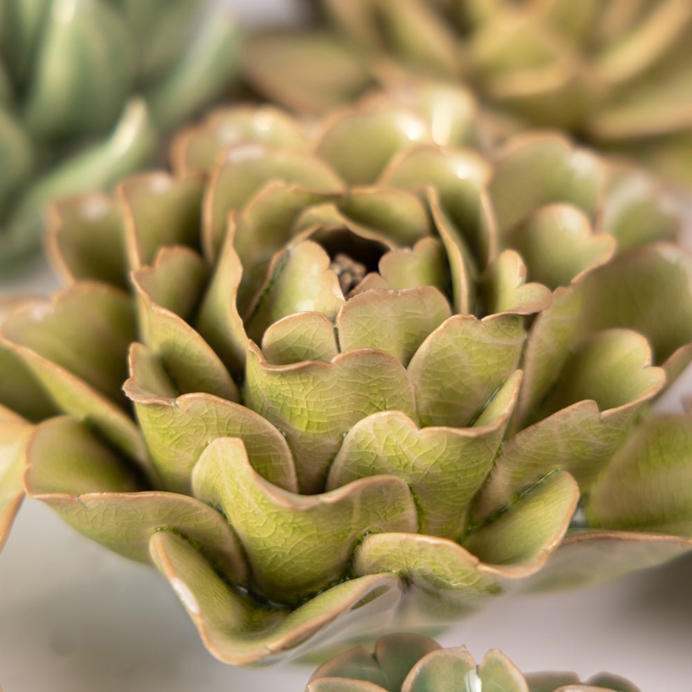 English Garden Curated Collection 10 - Chive UK