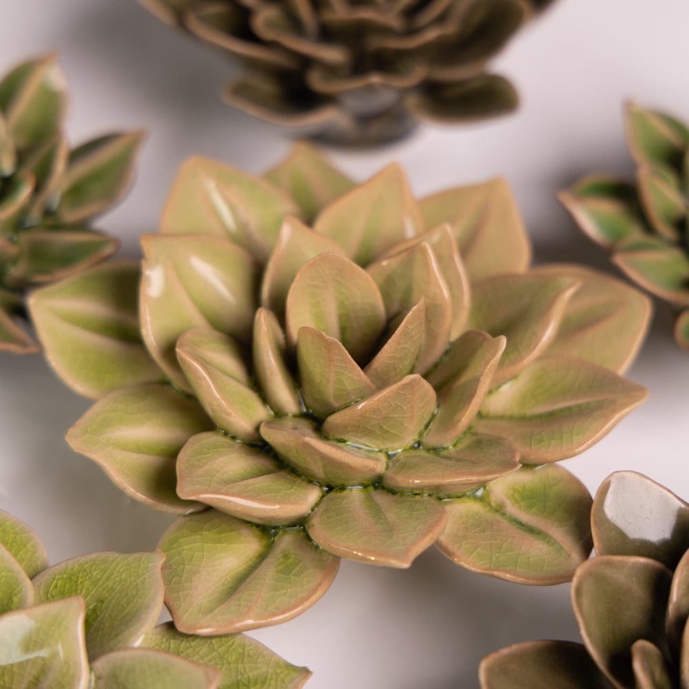 English Garden Curated Collection 15 - Chive UK