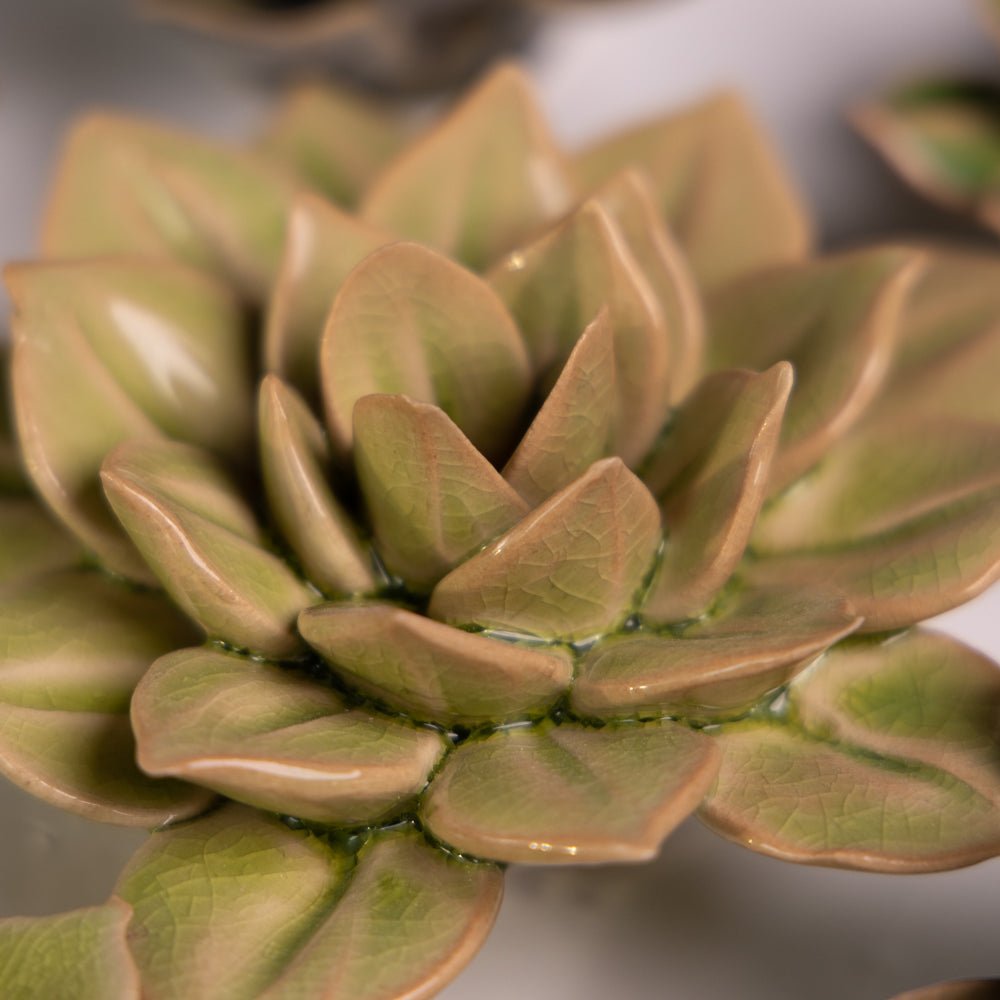 English Garden Curated Collection 15 - Chive UK