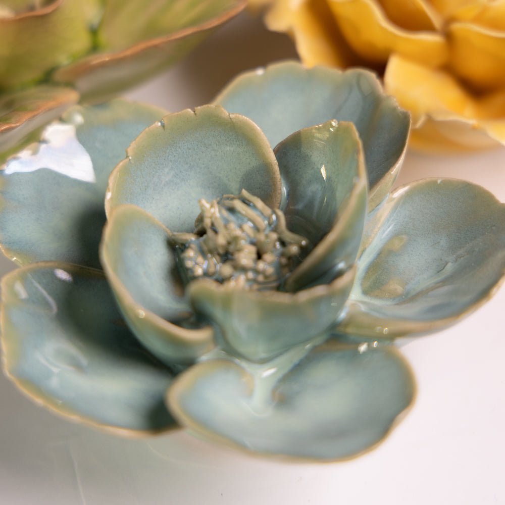 English Garden Curated Collection 16 - Chive UK