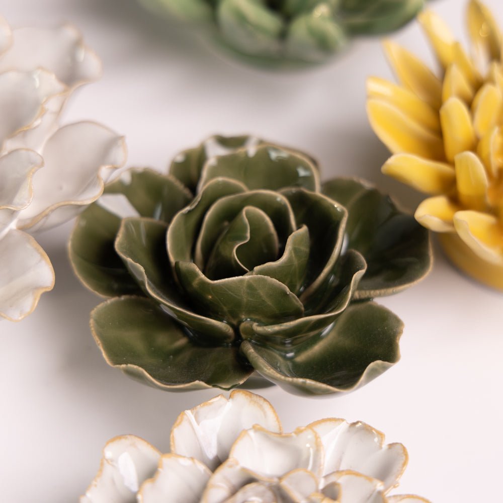 English Garden Curated Collection 18 - Chive UK