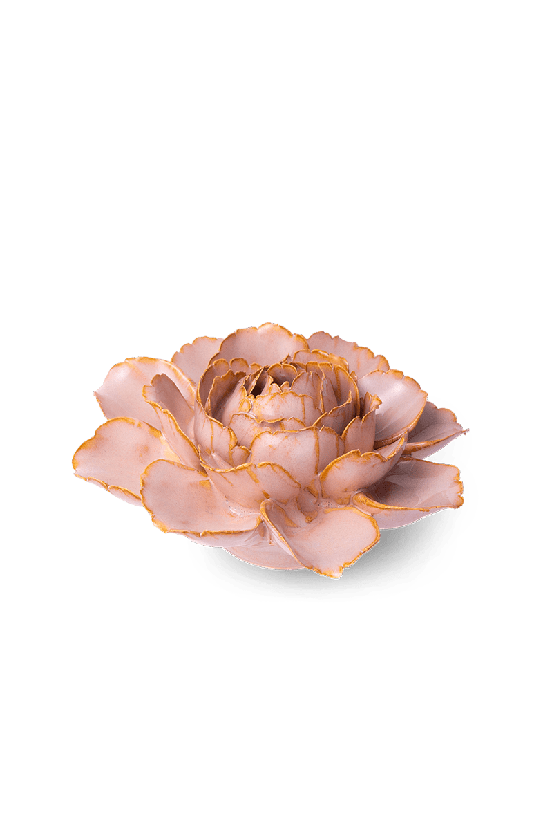 Rose Pink Camellia - Chive UK