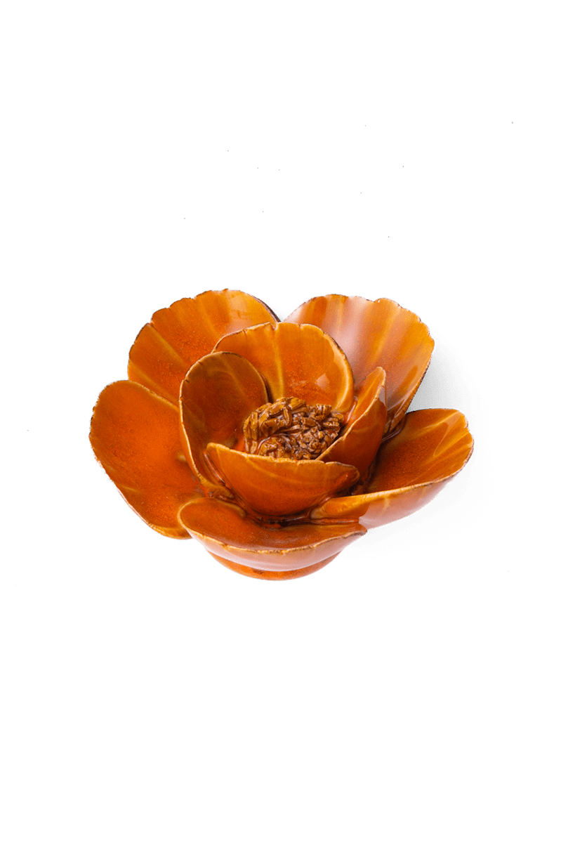 Burnt Orange Poppy - Chive UK