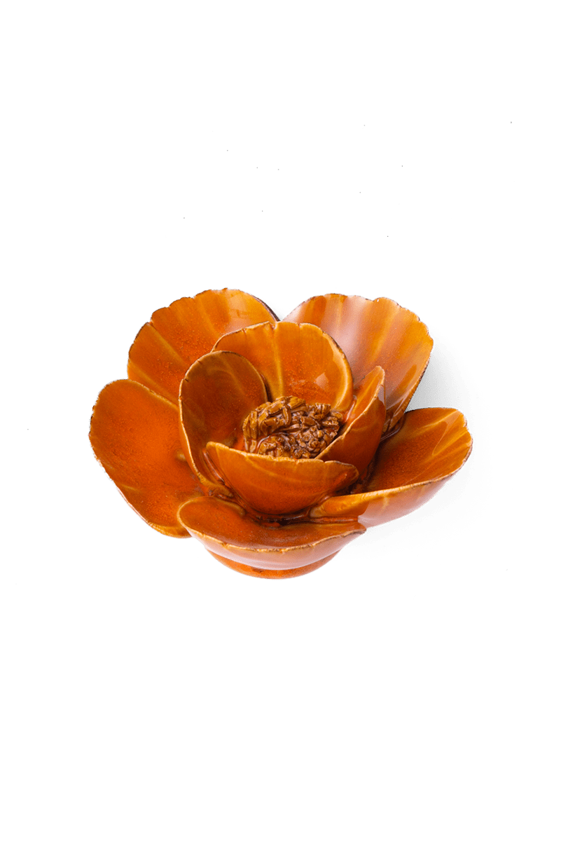 Burnt Orange Poppy - Chive UK