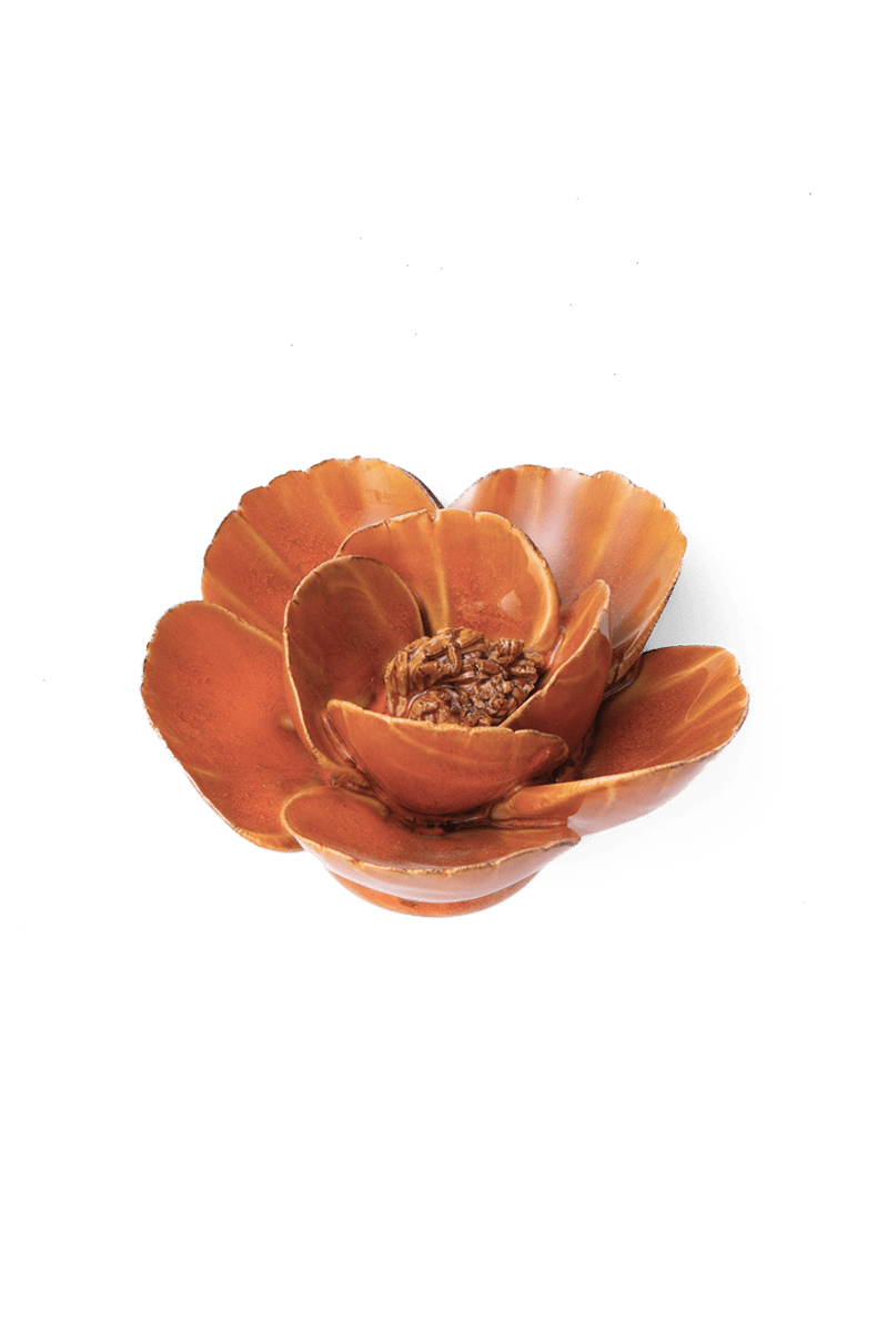 Burnt Orange Poppy - Chive UK