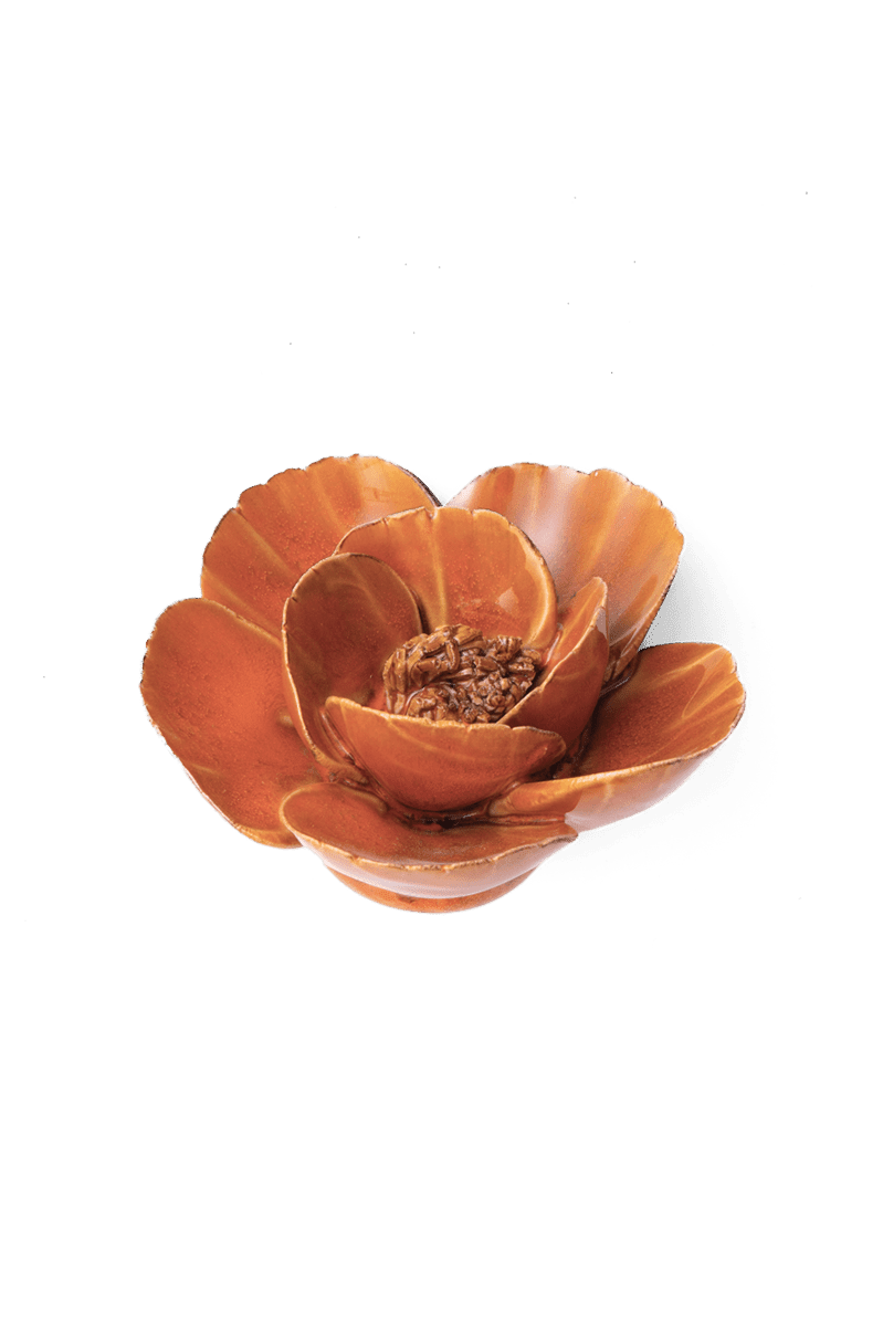 Burnt Orange Poppy - Chive UK