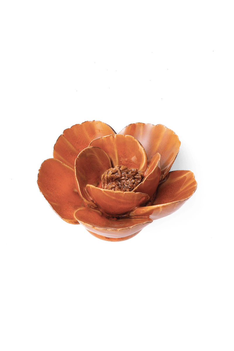 Burnt Orange Poppy - Chive UK