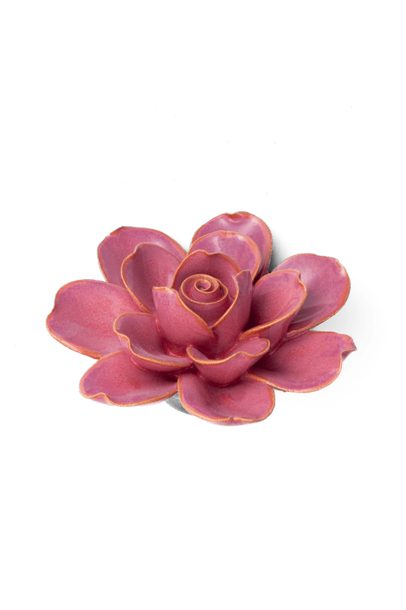 Blush Pink Tahitian Gardenia - Chive UK