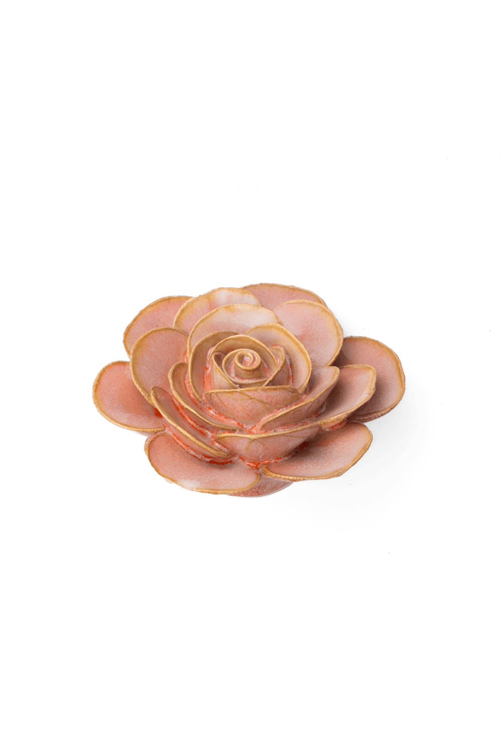 Peach Pink Cloni Ranunculus - Chive UK