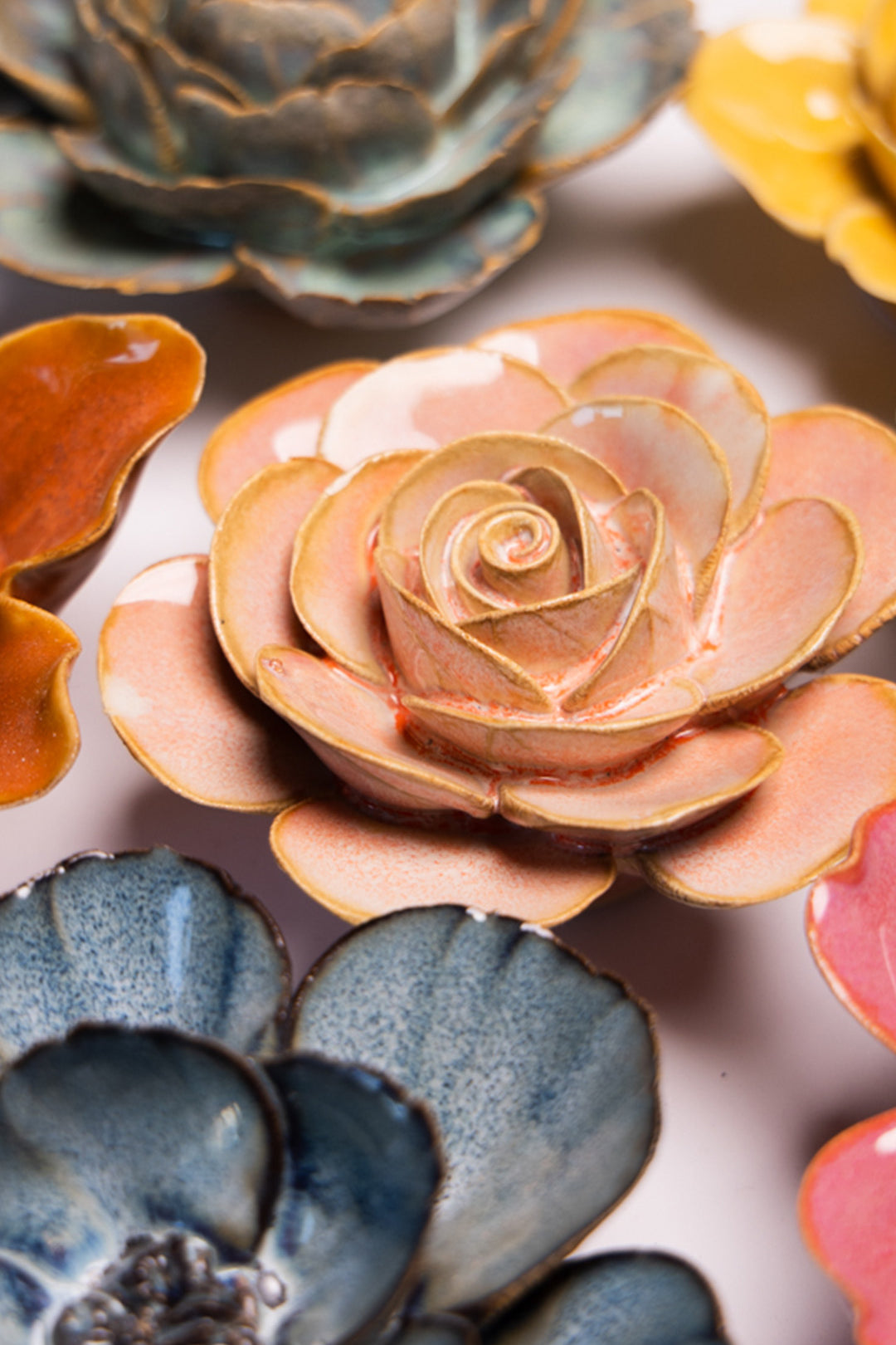 Peach Pink Cloni Ranunculus - Chive UK