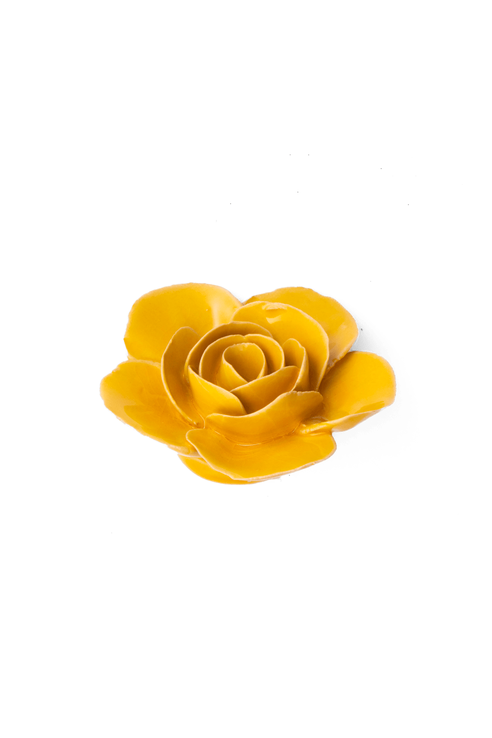 Burnt Yellow Elegance Ranunculus - Chive UK