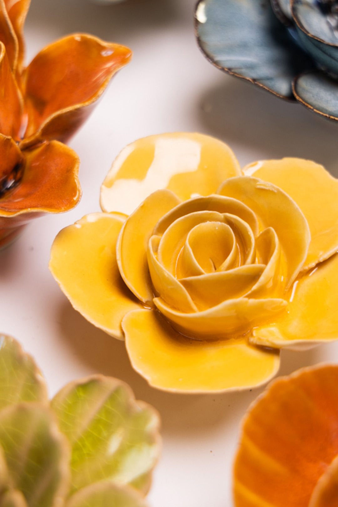 Burnt Yellow Elegance Ranunculus - Chive UK