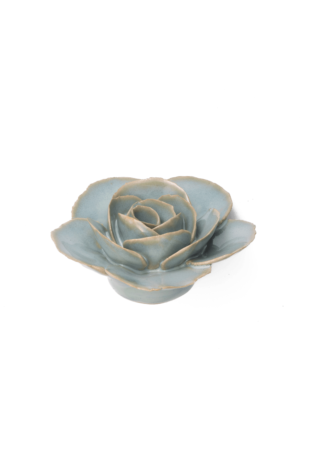 Teal Elegance Ranunculus - Chive UK