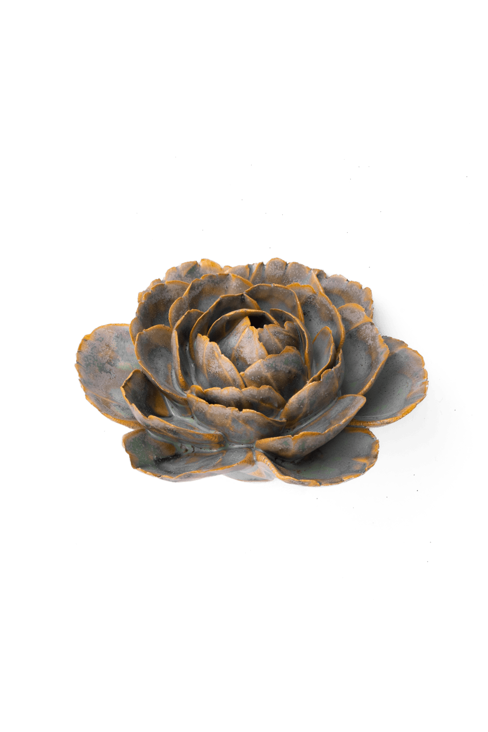 Pale Blue English Rose - Chive UK