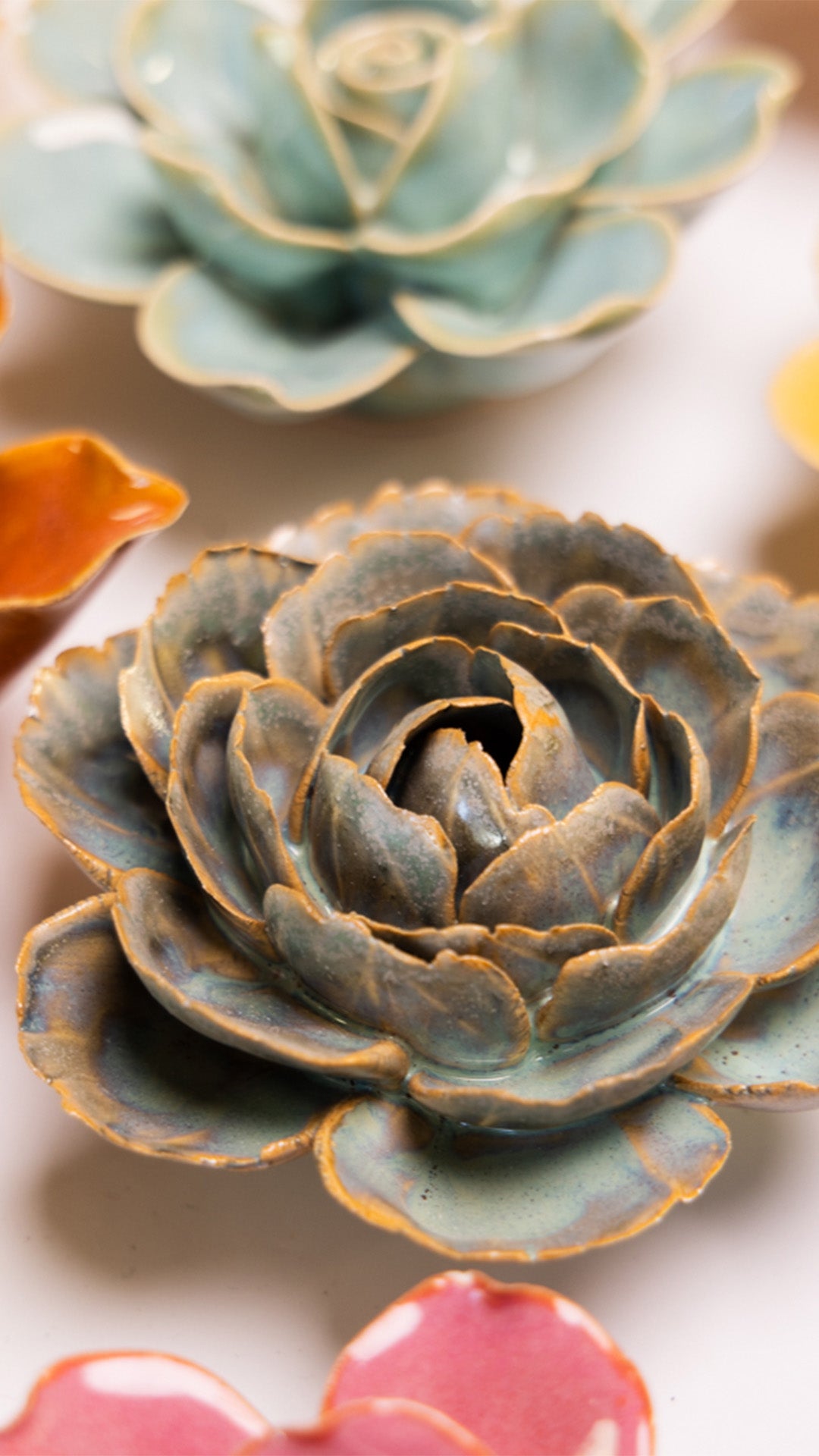 Pale Blue English Rose - Chive UK