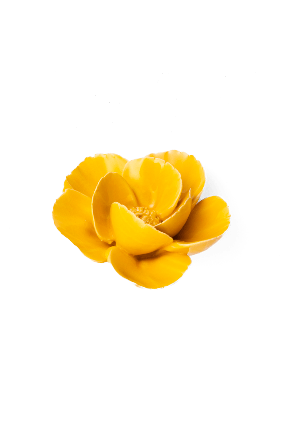 Burnt Yellow Poppy - Chive UK