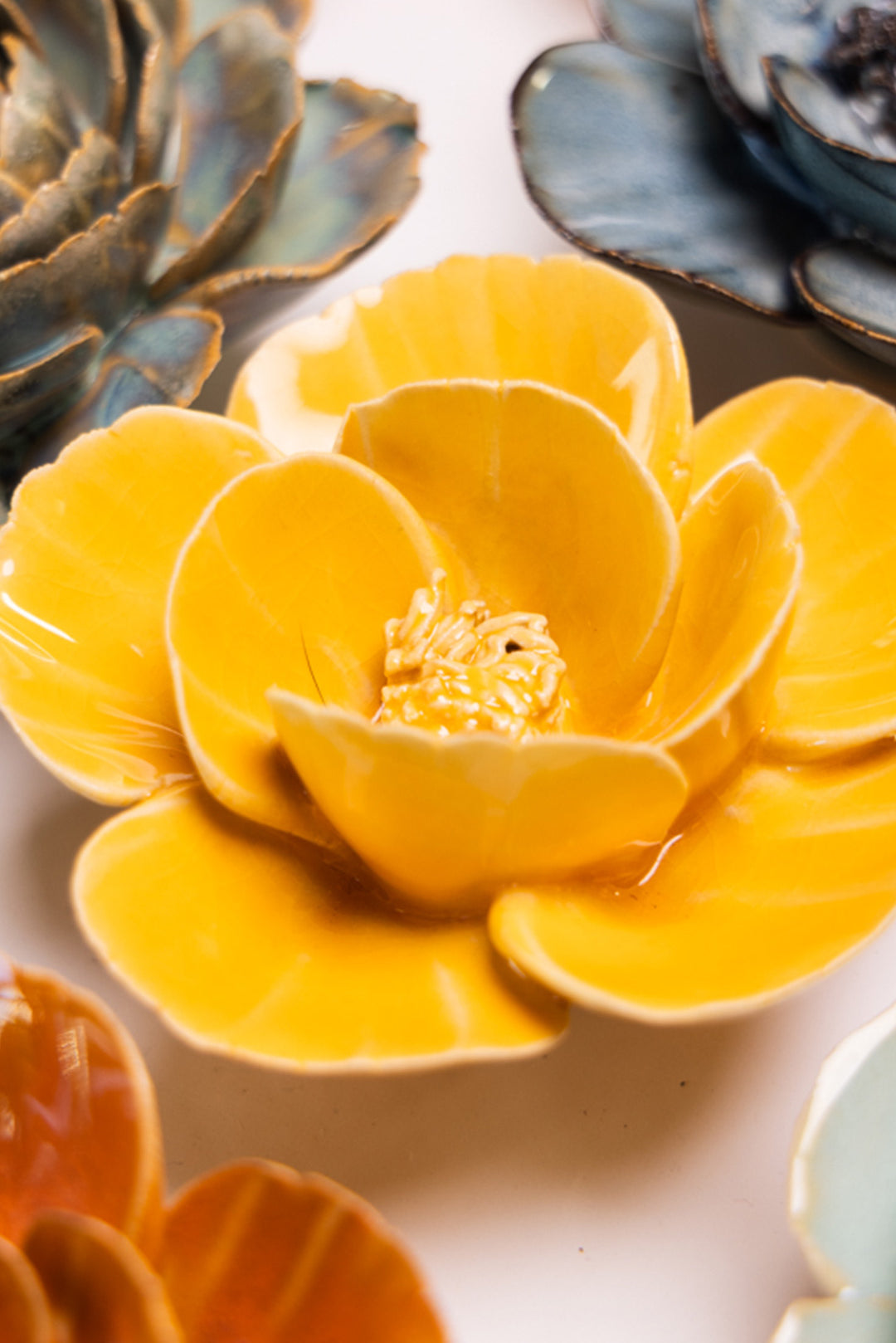 Burnt Yellow Poppy - Chive UK