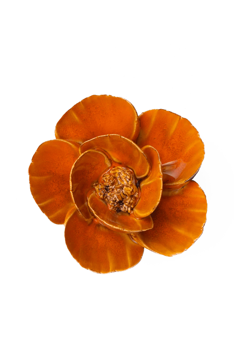 August Birth Flower - Poppy - Chive UK