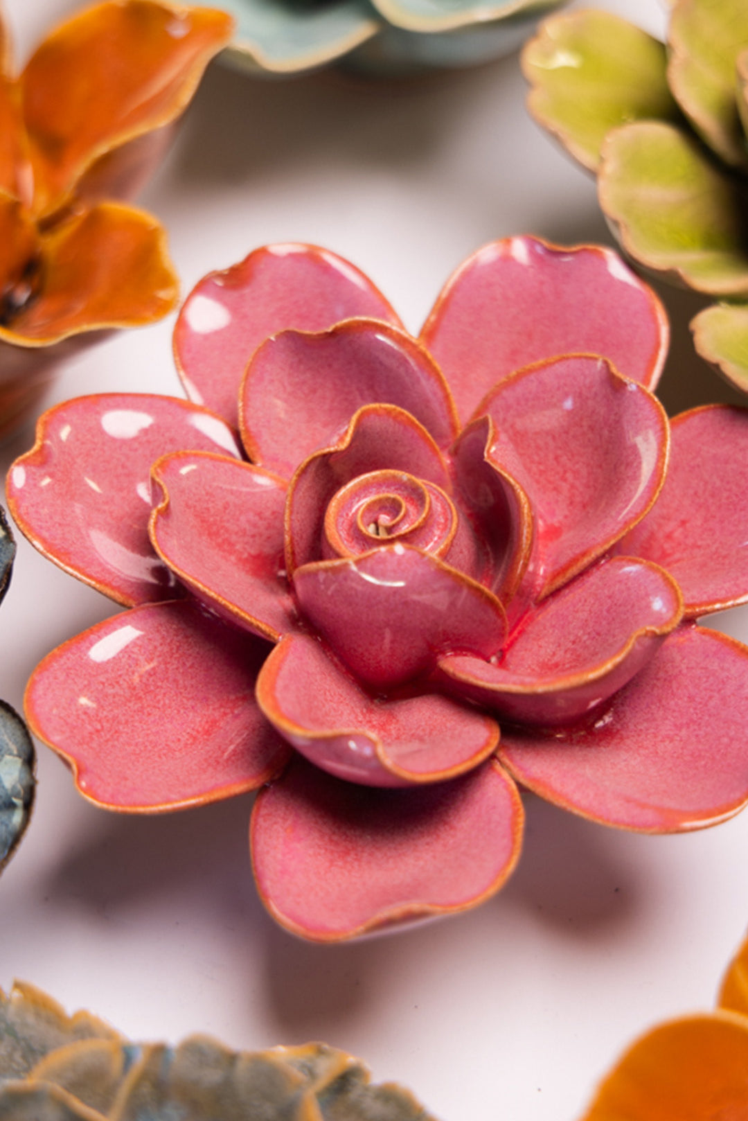 Blush Pink Tahitian Gardenia - Chive UK