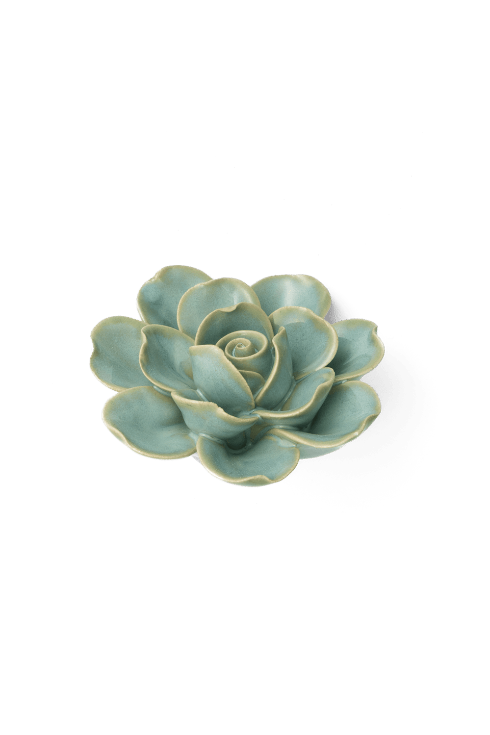 Milk Teal Tahitian Gardenia - Chive UK
