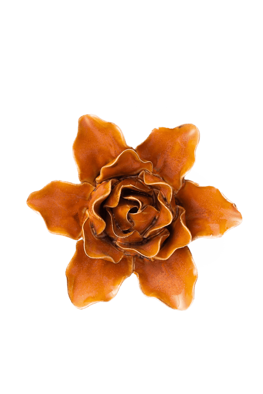 Burnt Orange Stargazer Lily - Chive UK