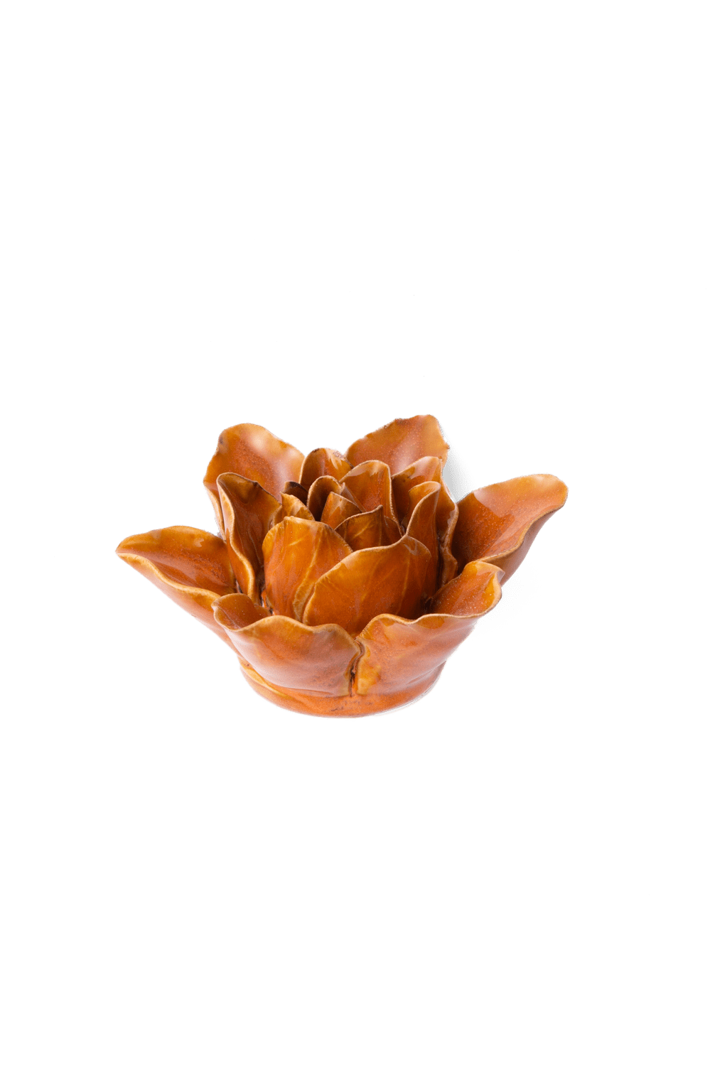 Burnt Orange Stargazer Lily - Chive UK