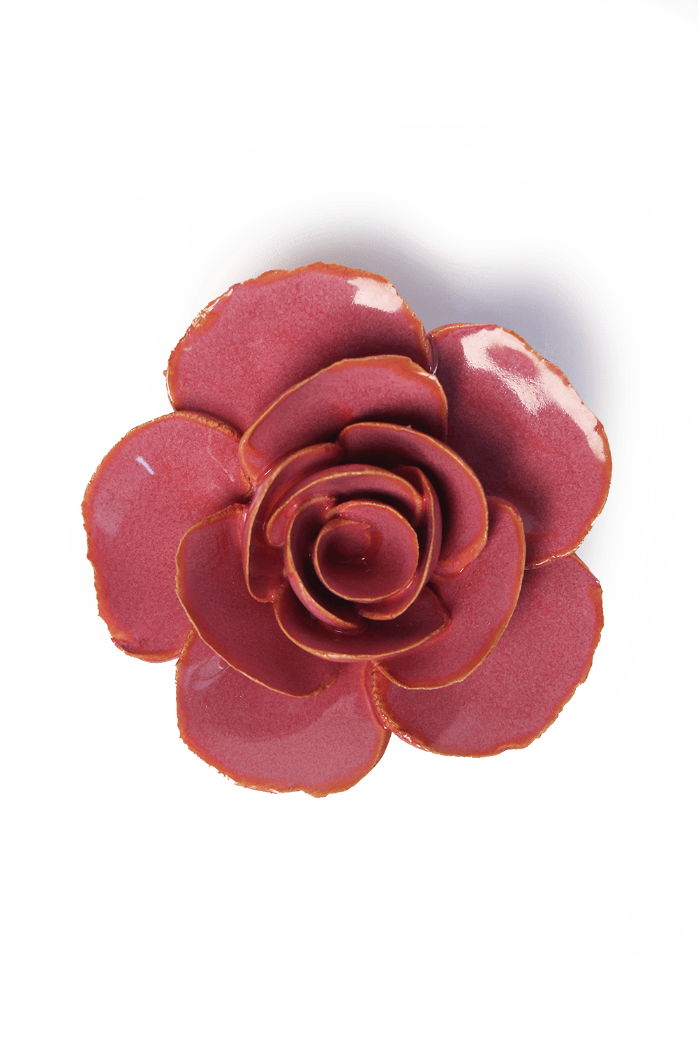 Blush Pink Elegance Ranunculus - Chive UK