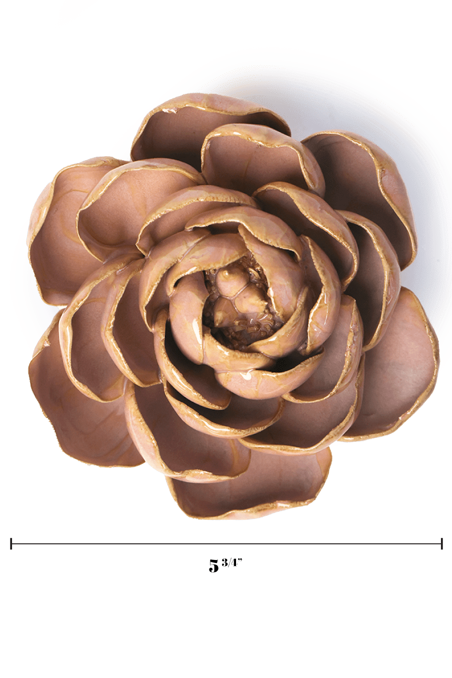 Rose Pink Big Ben Peony - Chive UK