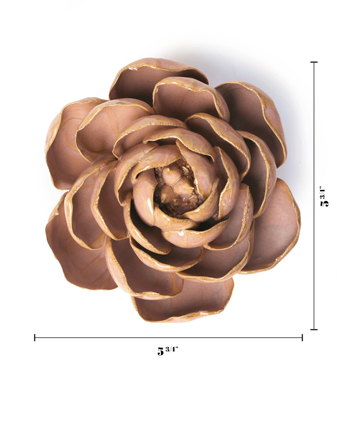 Rose Pink Big Ben Peony - Chive UK