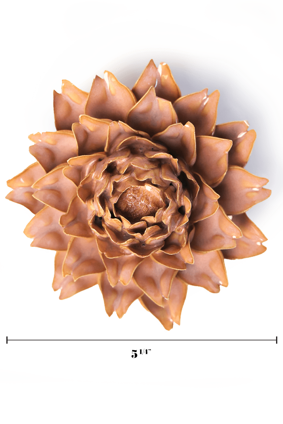 Rose Pink King Protea - Chive UK