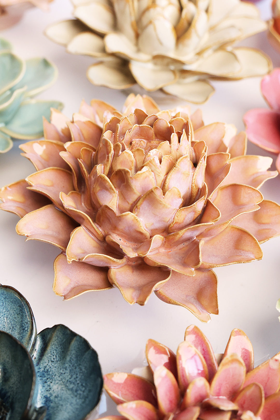 Rose Pink King Protea - Chive UK