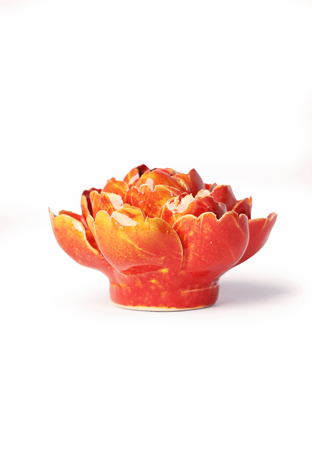 Orange Yellow Gay Paree Peony - Chive UK