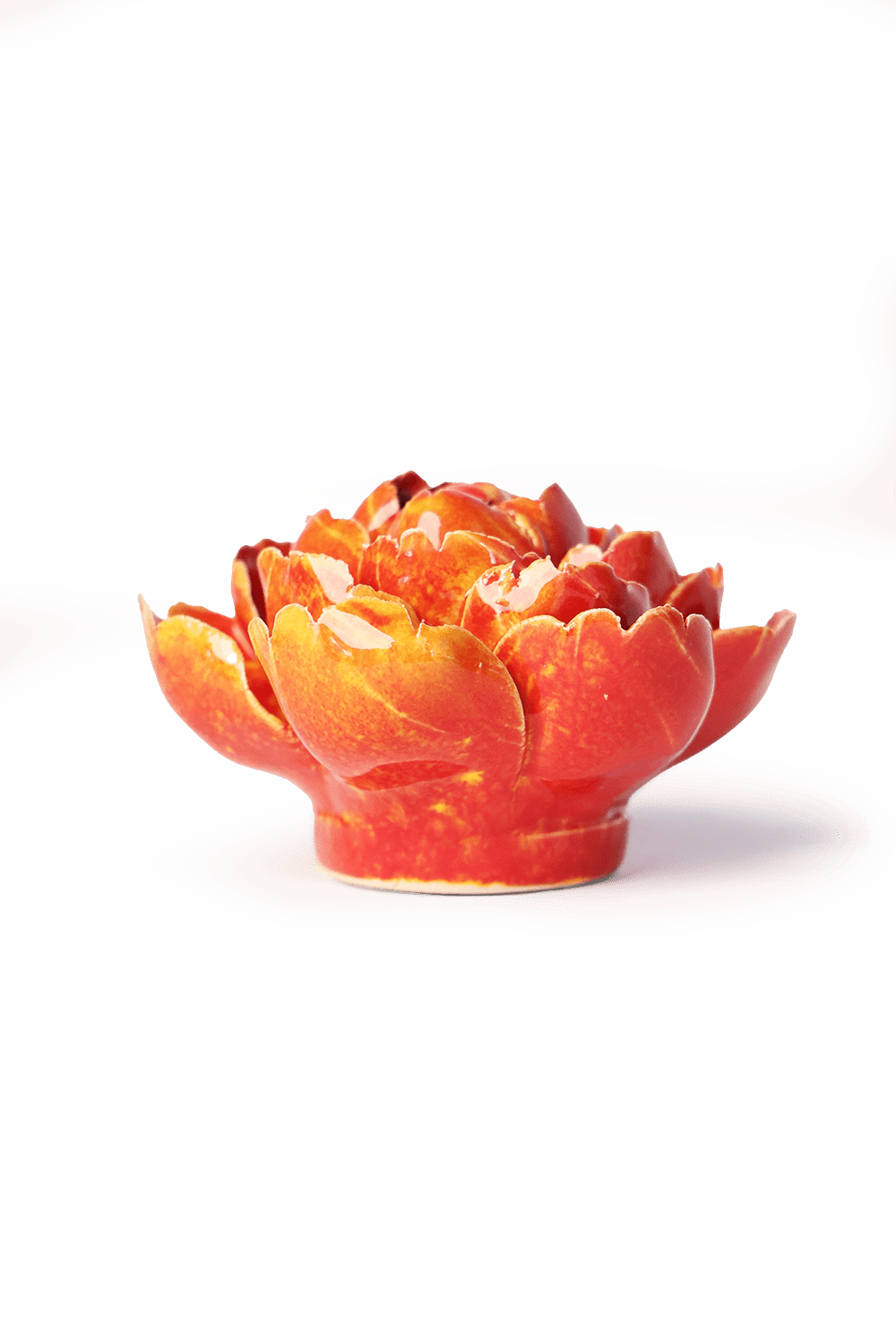 Orange Yellow Gay Paree Peony - Chive UK