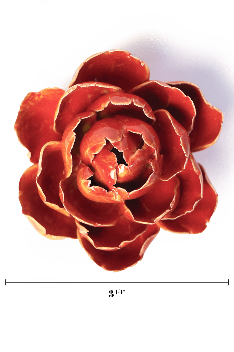 Orange Yellow Gay Paree Peony - Chive UK