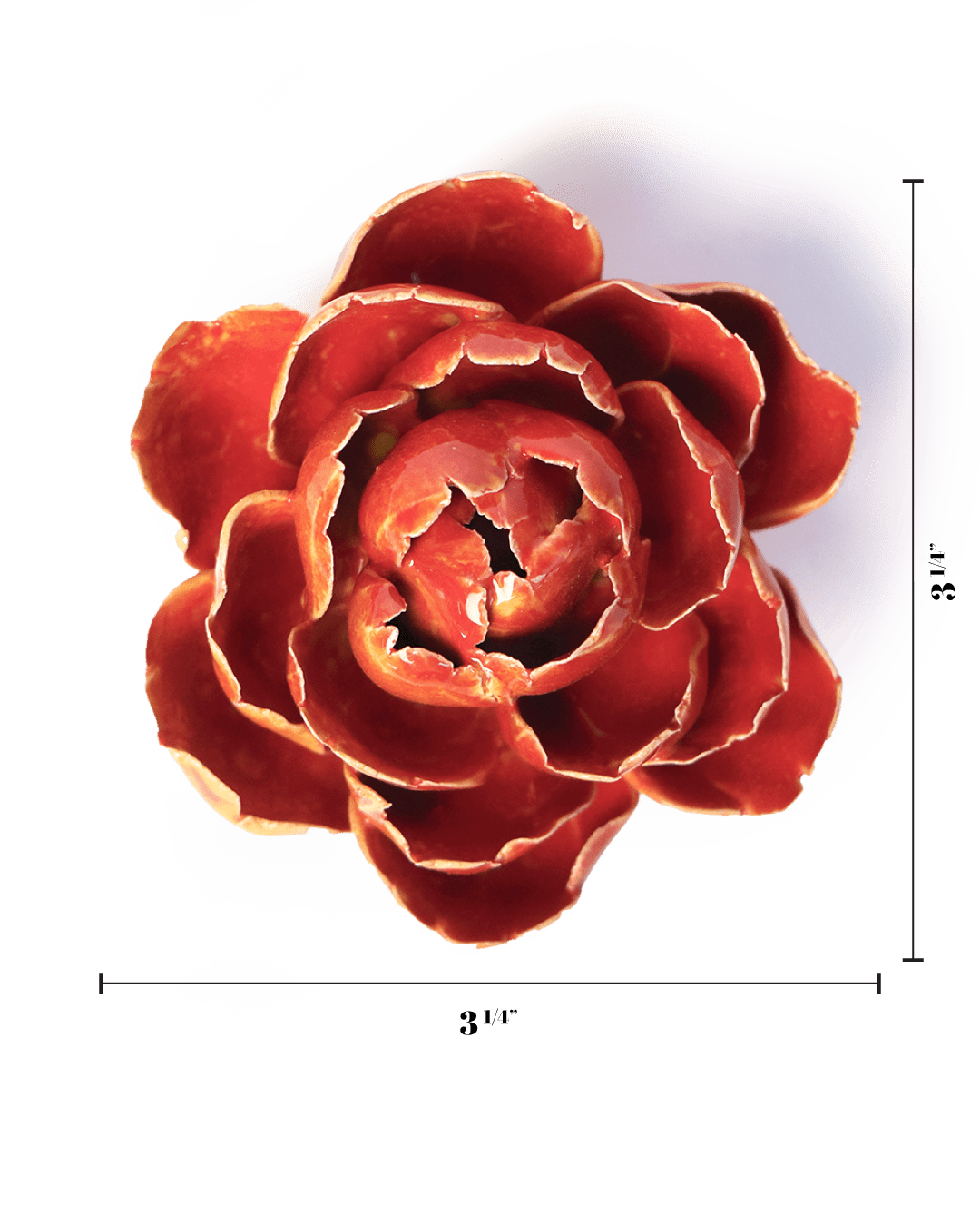 Orange Yellow Gay Paree Peony - Chive UK