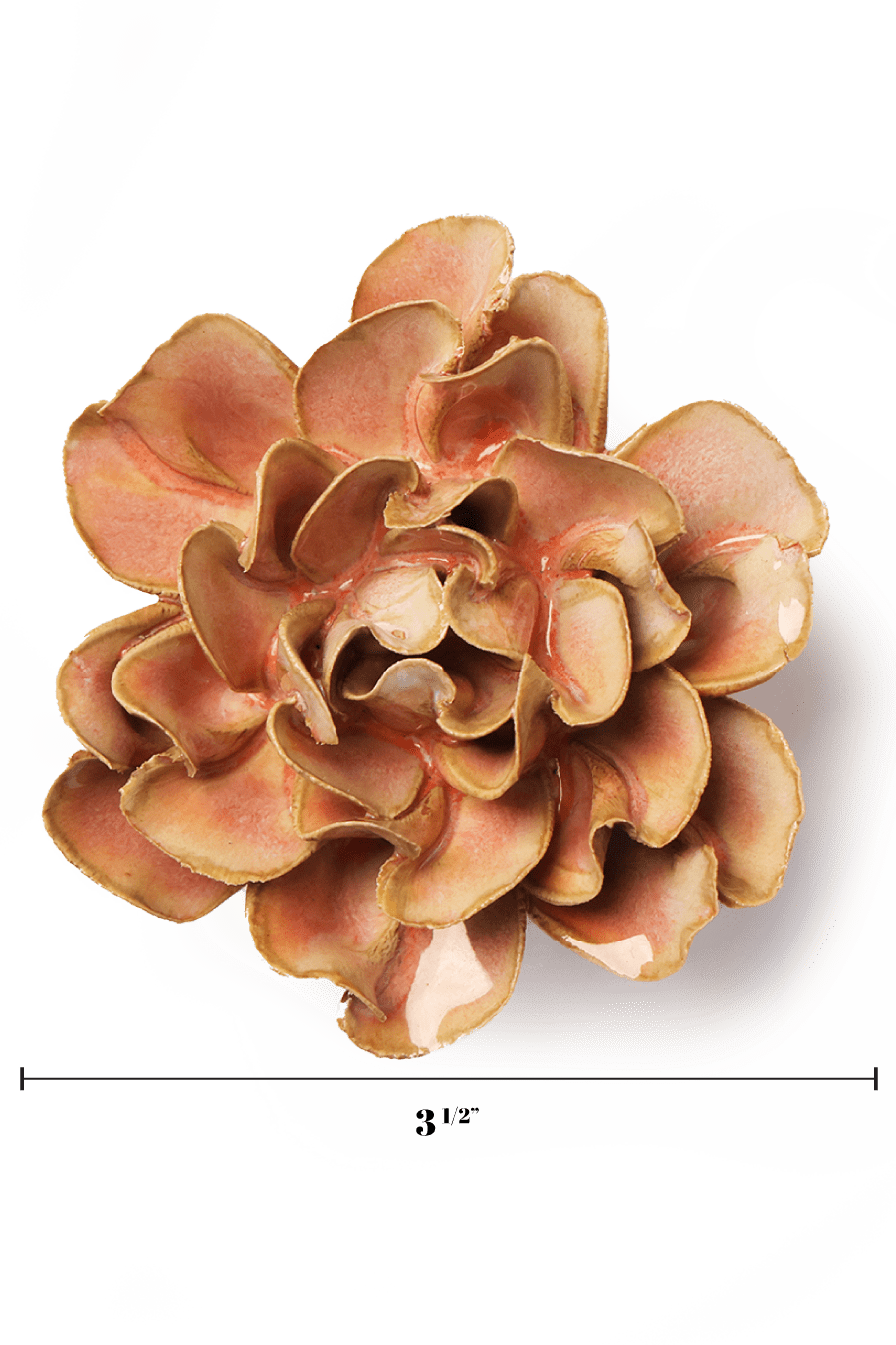 May Birth Flower - Hawthorn - Chive UK